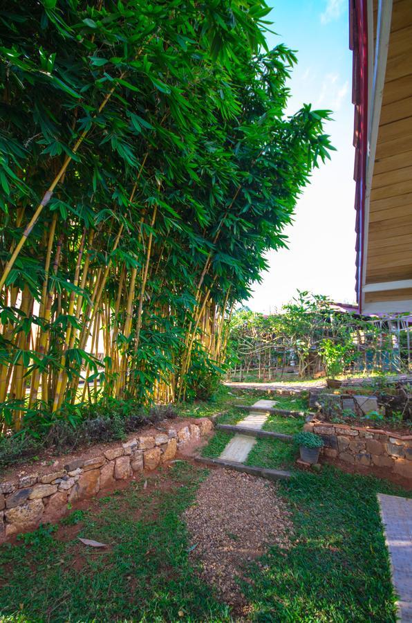 Summit View Bed & Breakfast Kandy Bagian luar foto