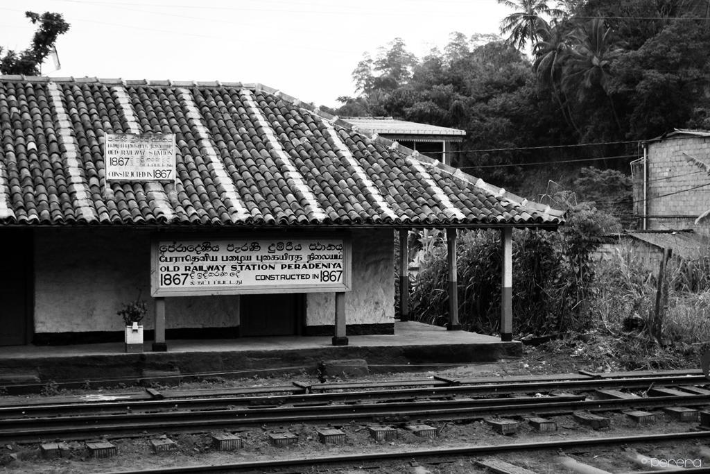 Summit View Bed & Breakfast Kandy Bagian luar foto