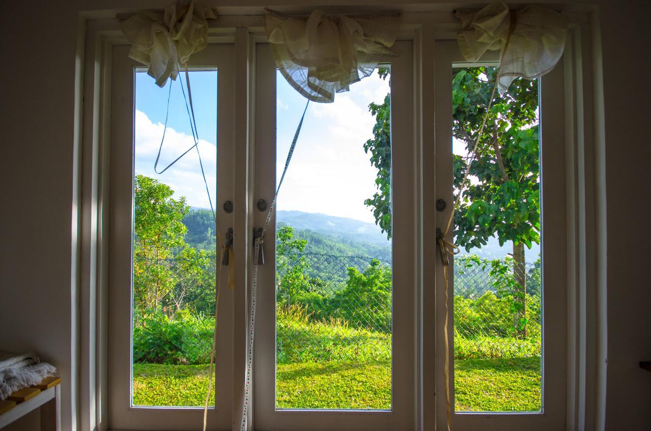Summit View Bed & Breakfast Kandy Bagian luar foto