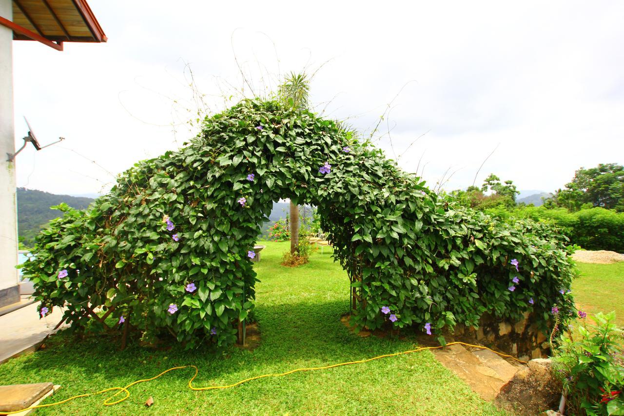 Summit View Bed & Breakfast Kandy Bagian luar foto
