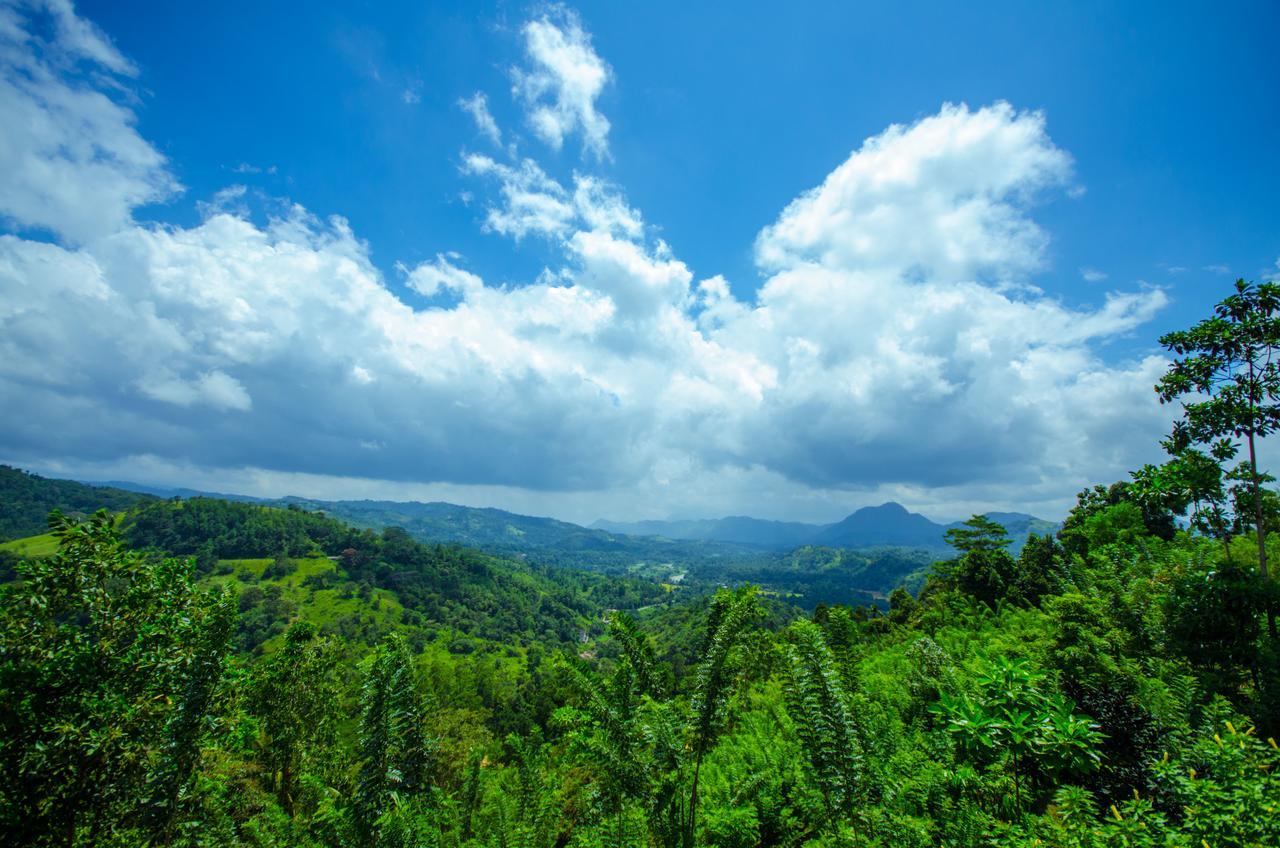 Summit View Bed & Breakfast Kandy Bagian luar foto