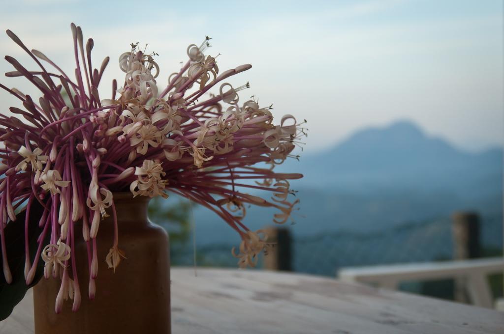 Summit View Bed & Breakfast Kandy Bagian luar foto